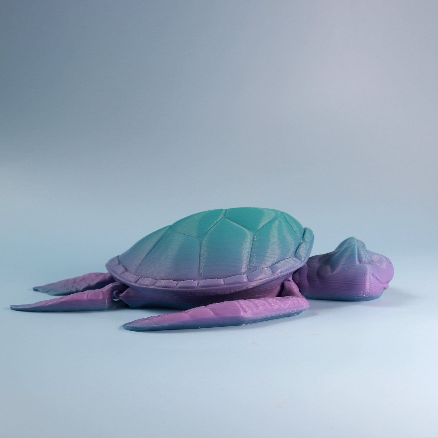 Flexi Turtle