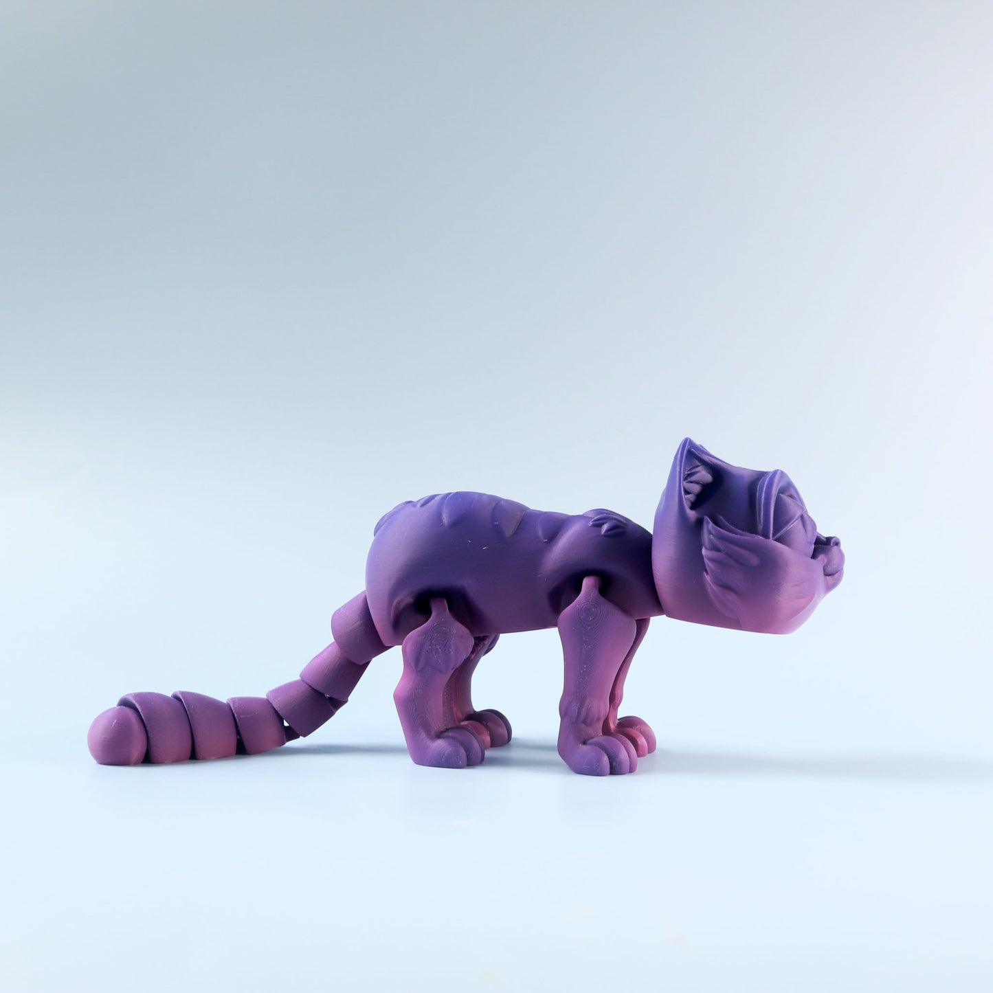 Flexi Kitten