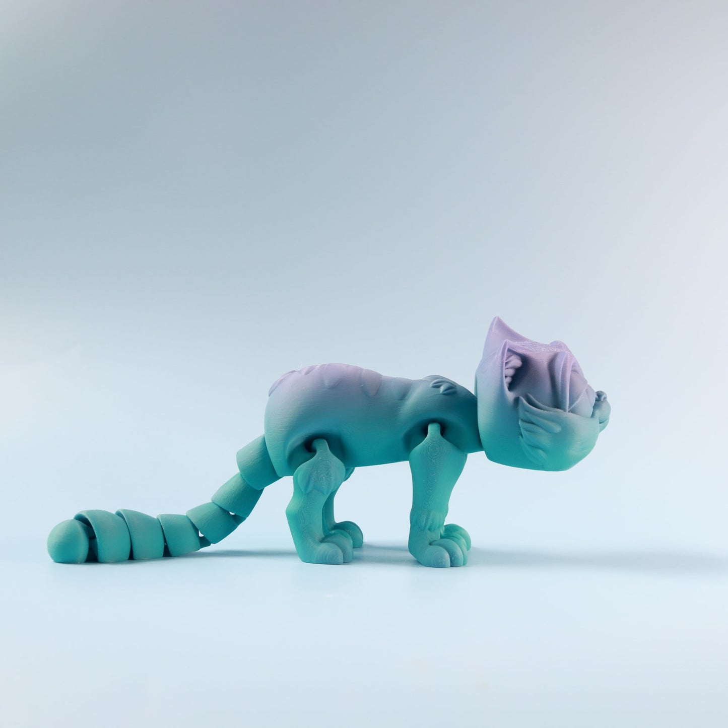 Flexi Kitten