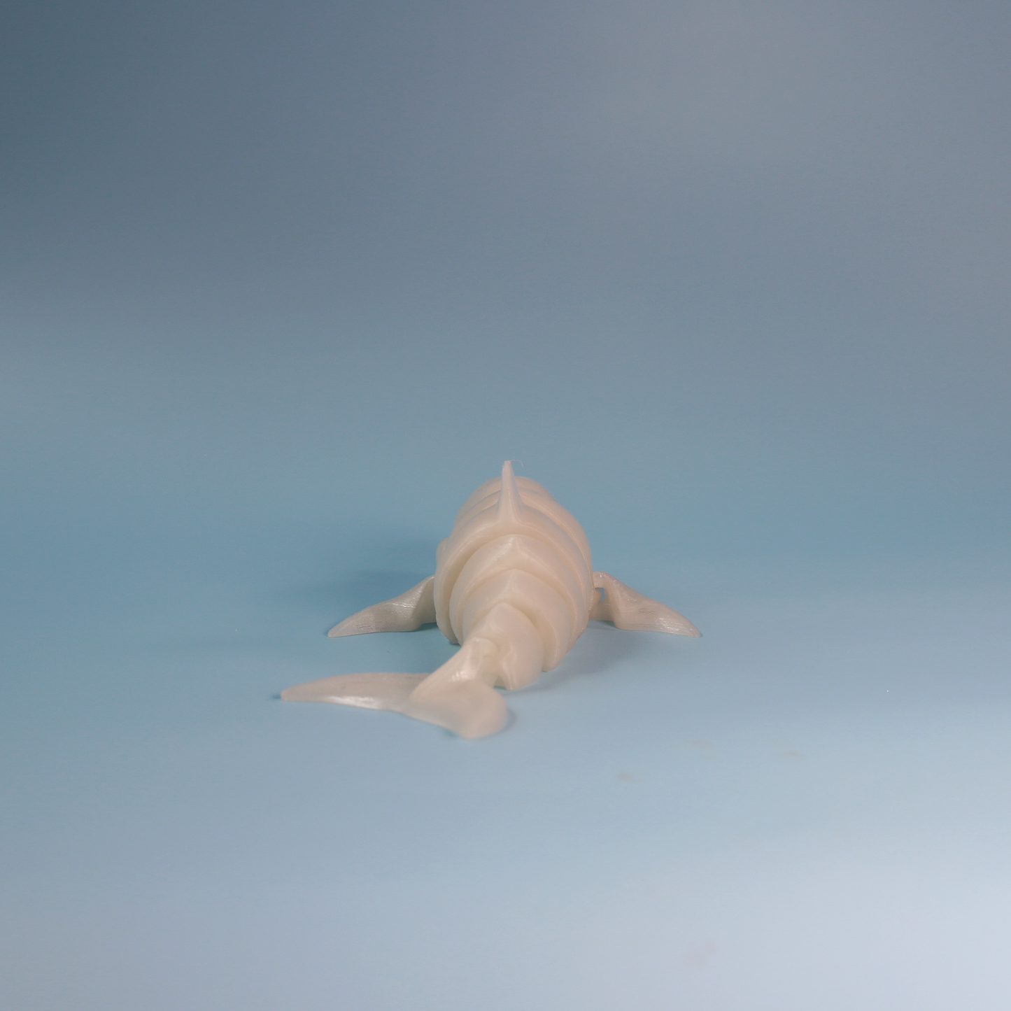 Flexi Dolphin