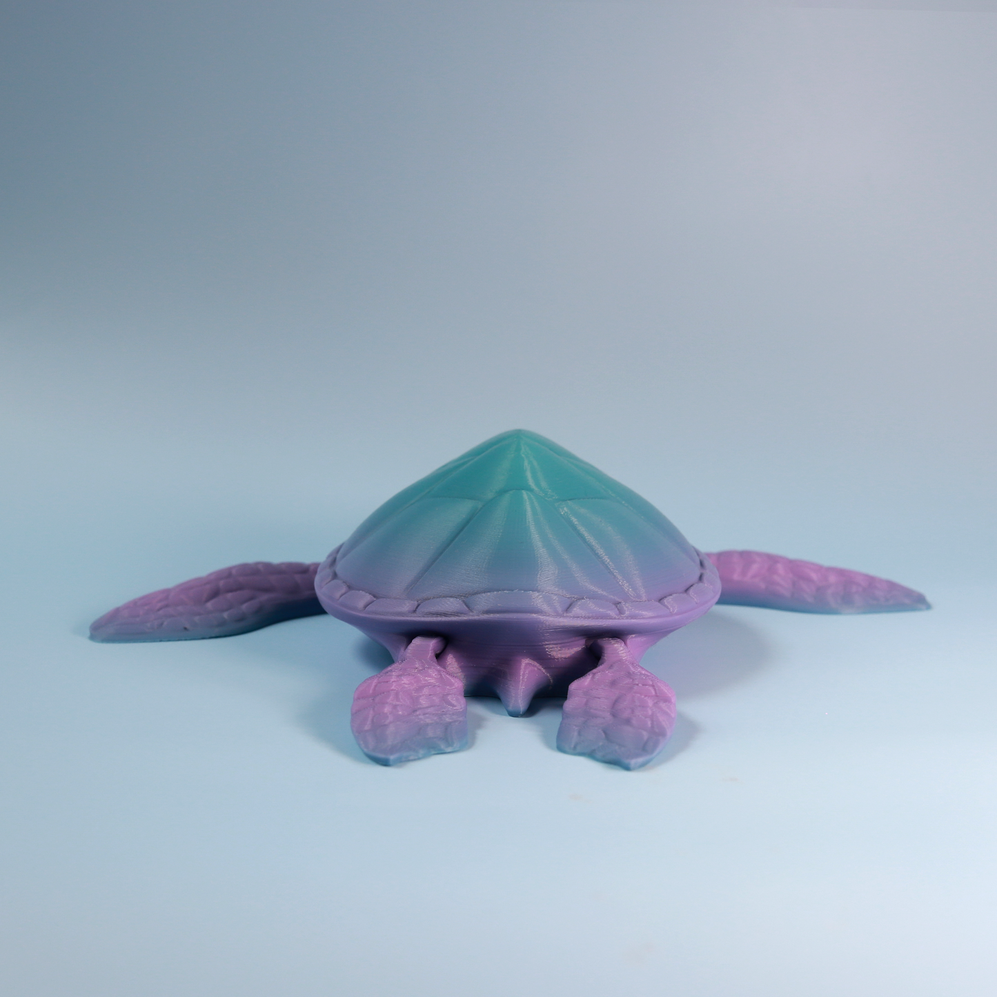 Flexi Turtle