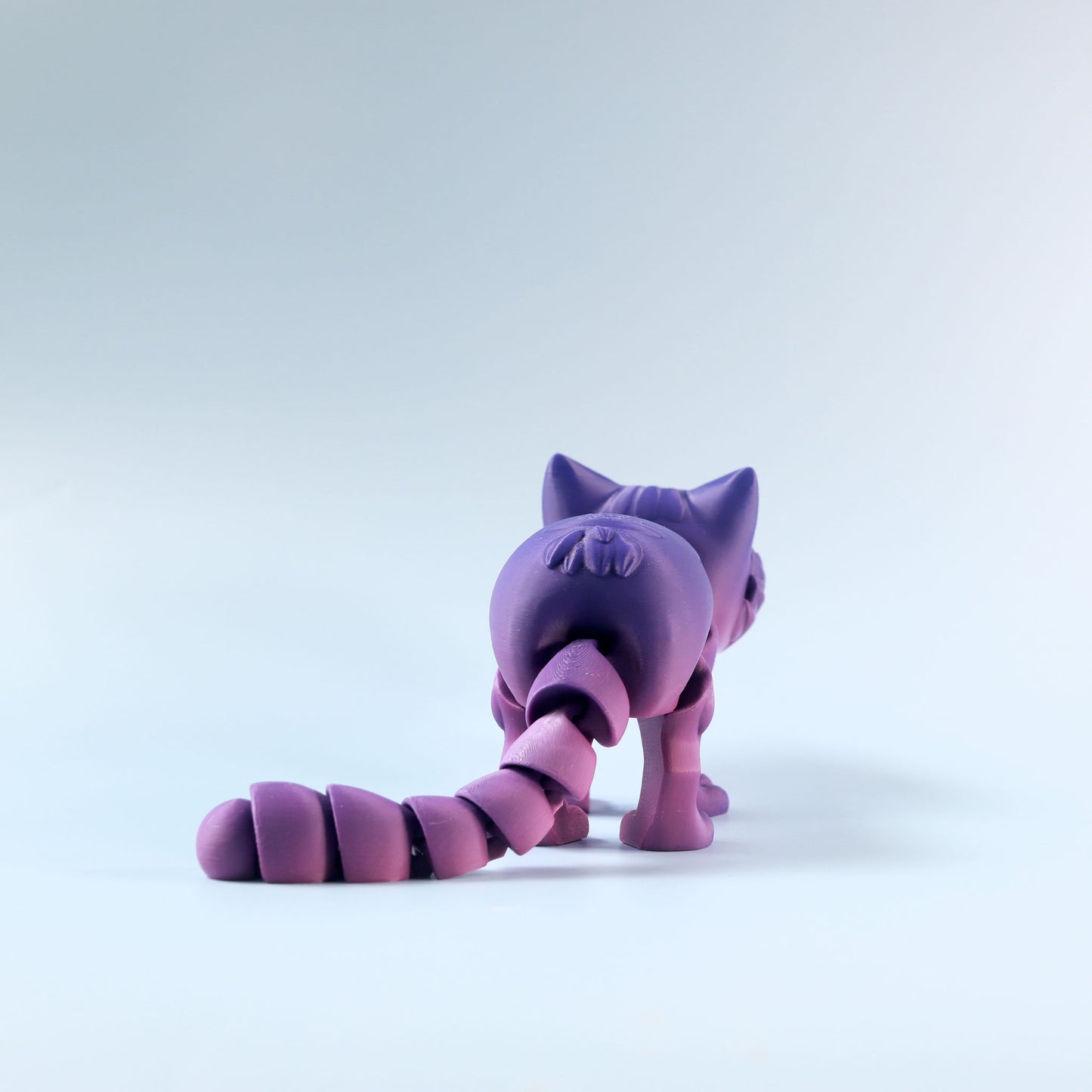 Flexi Kitten