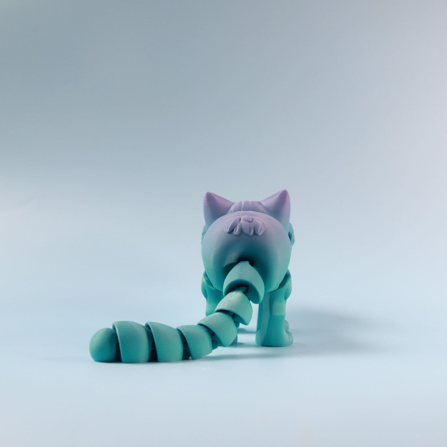 Flexi Kitten