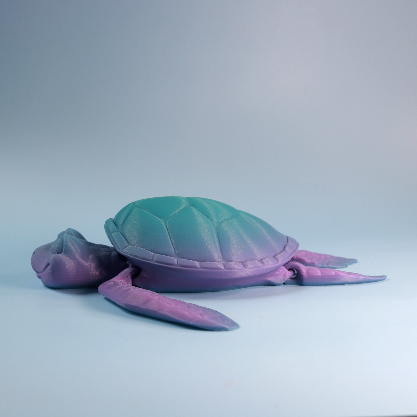 Flexi Turtle