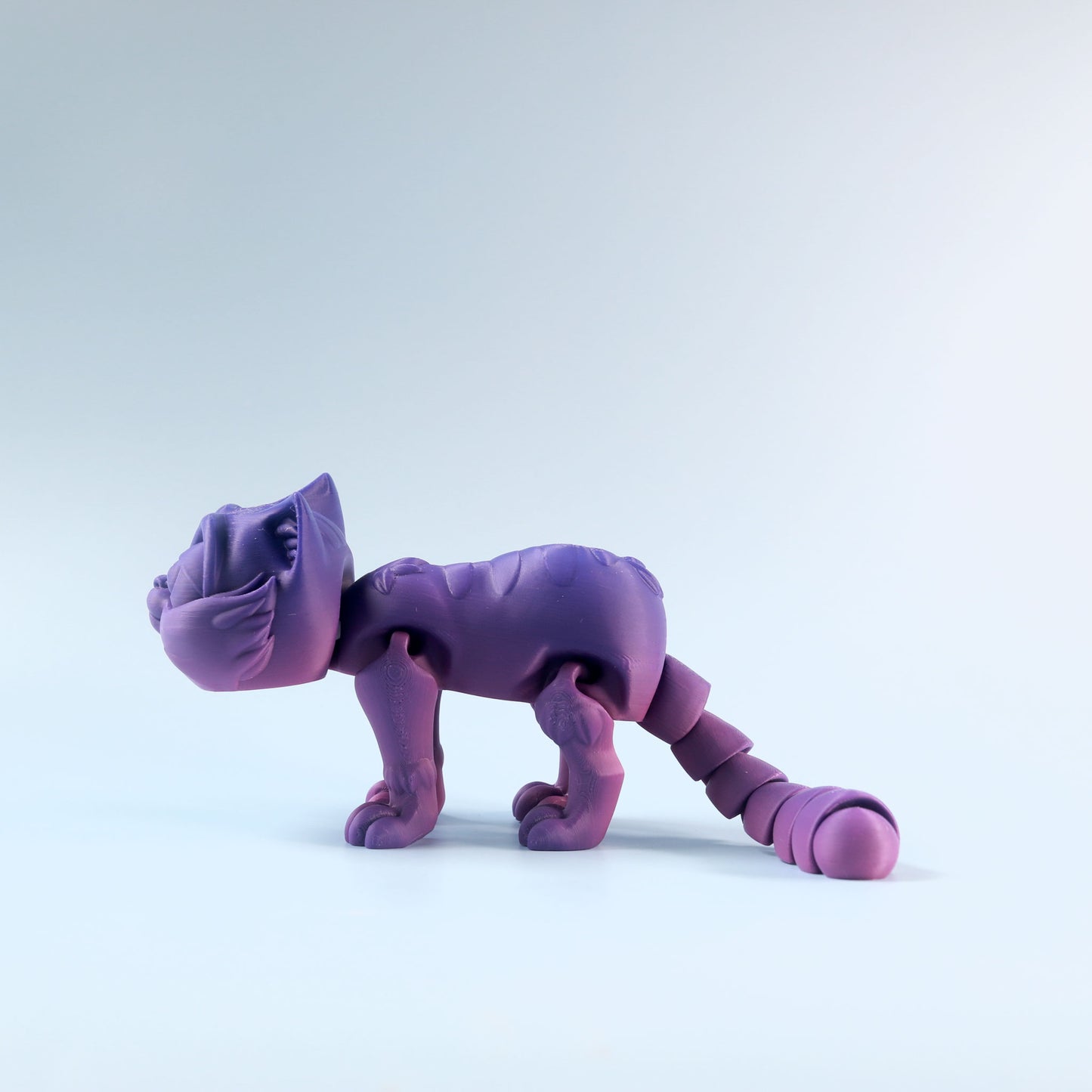 Flexi Kitten