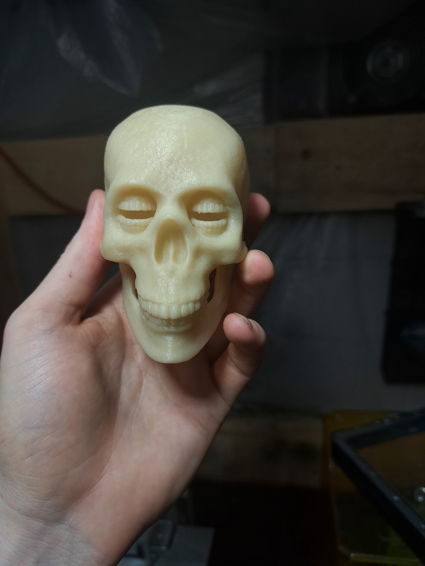 Corinthian Skull