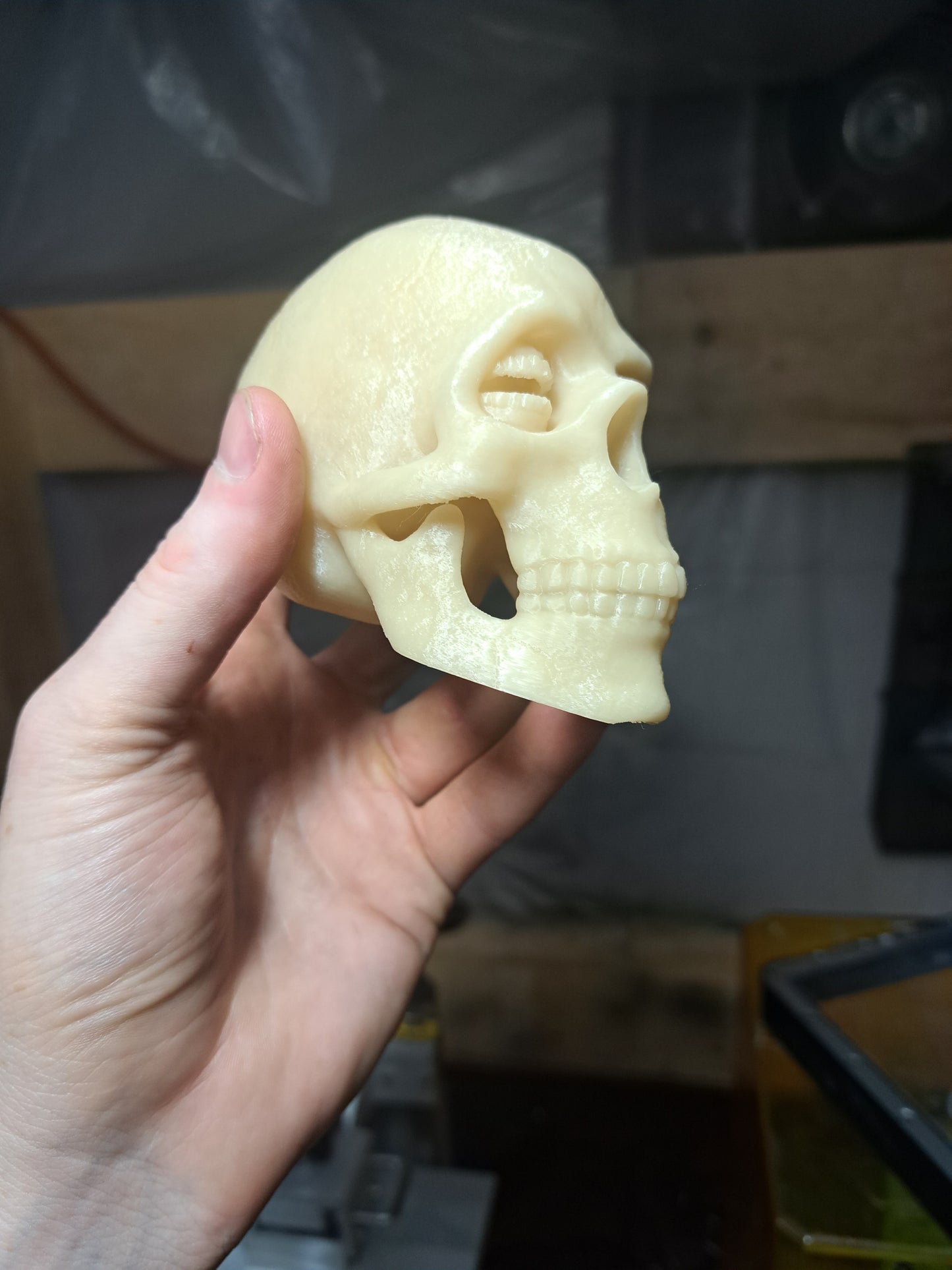 Corinthian Skull