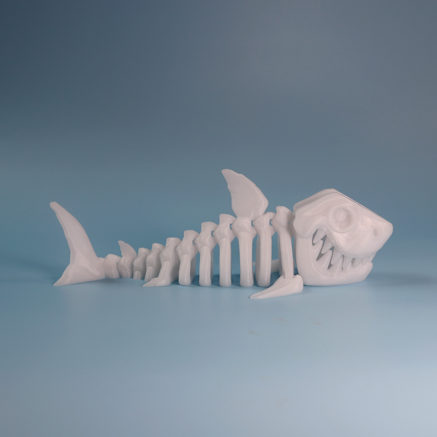 Flexi Skeleton Shark