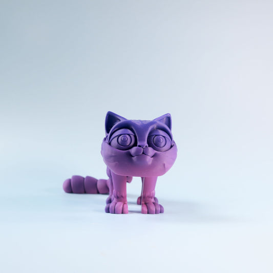 Flexi Kitten