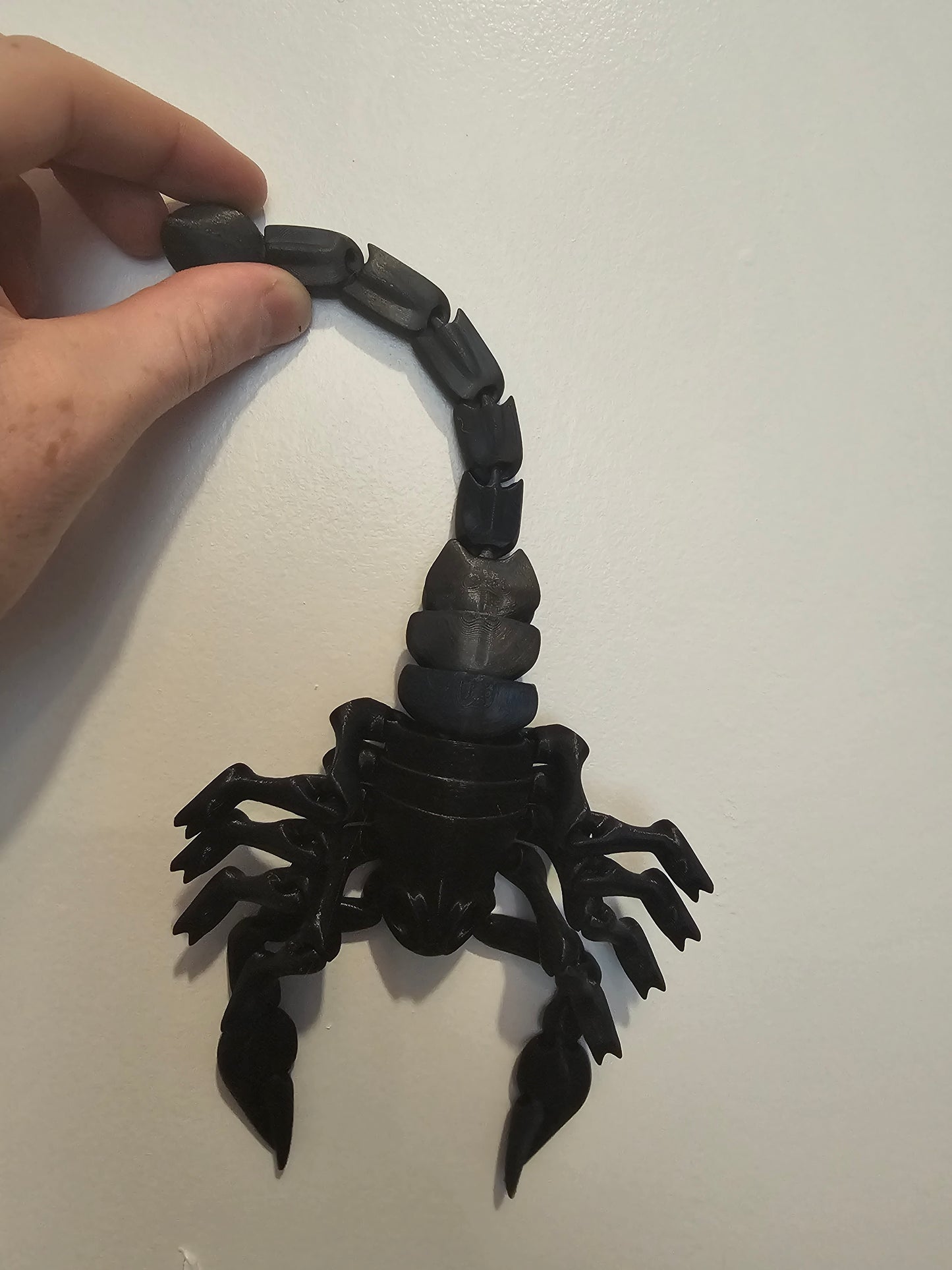Flexi Scorpion