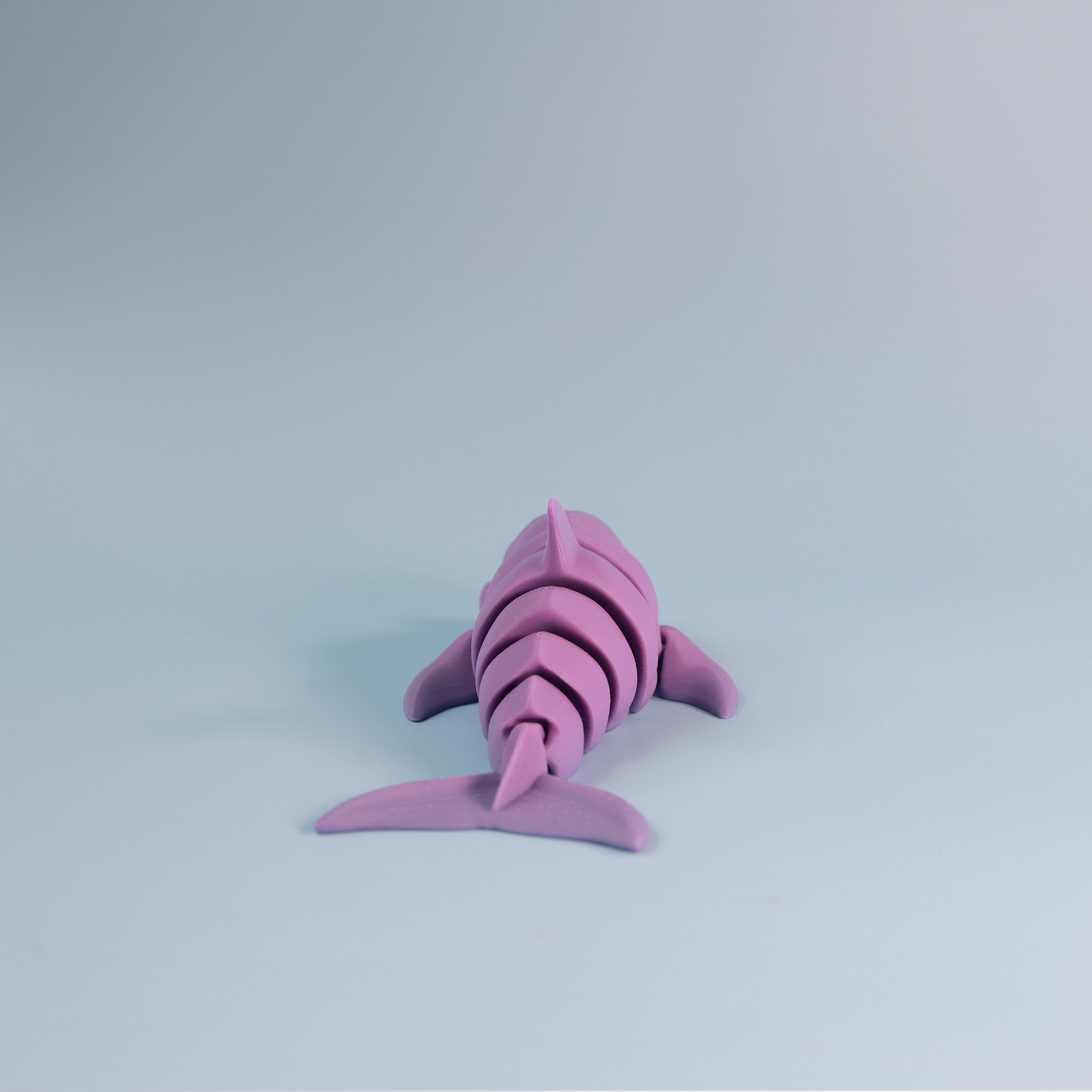 Flexi Dolphin