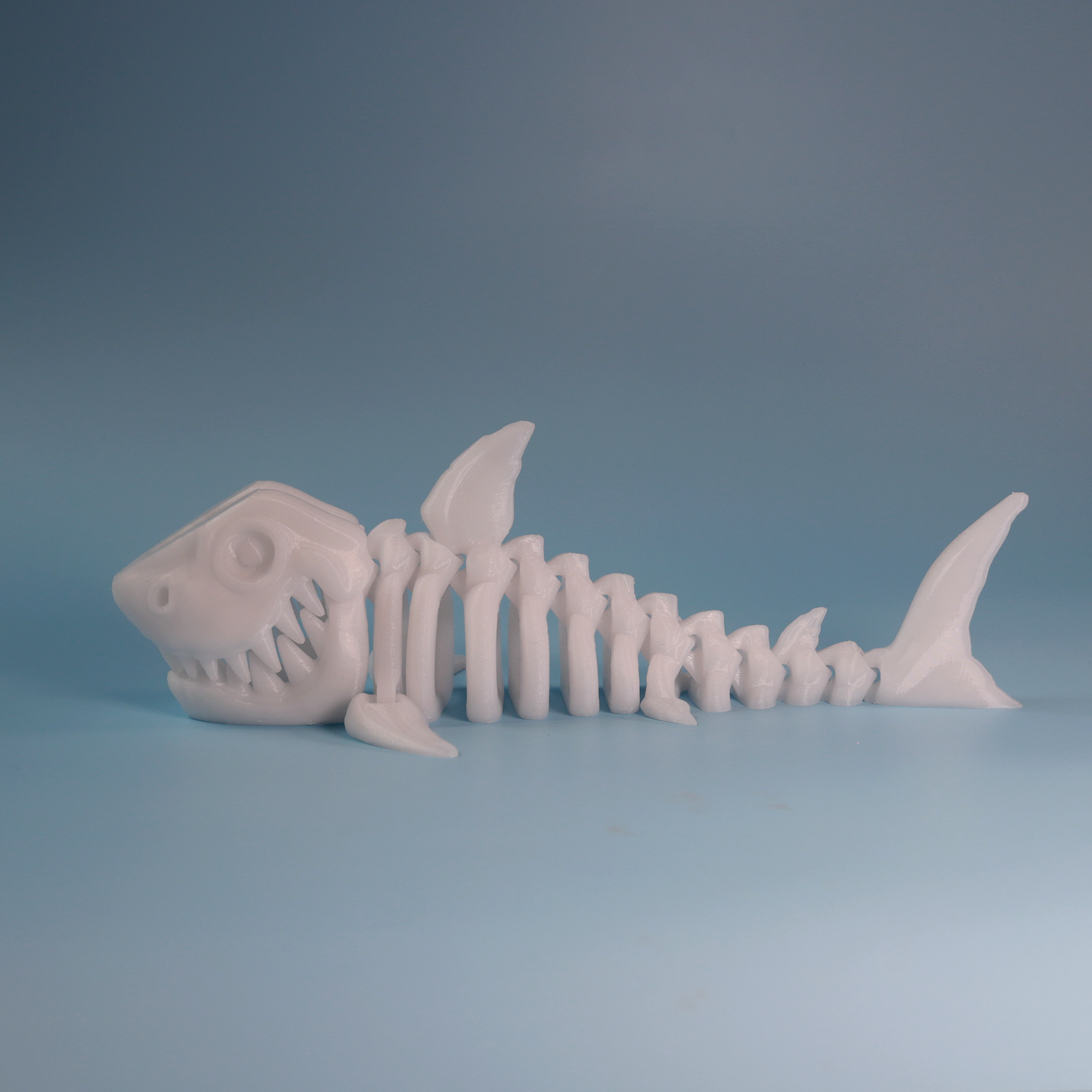 Flexi Skeleton Shark
