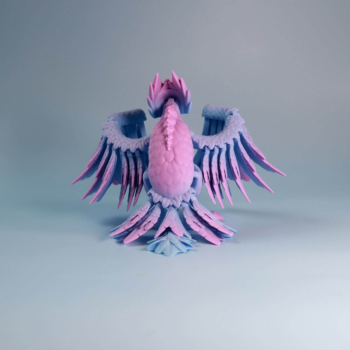 Flexi Pheonix