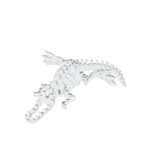Flexi Skeleton T-Rex