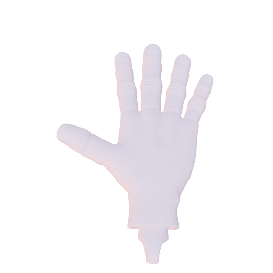 Flexi Hand